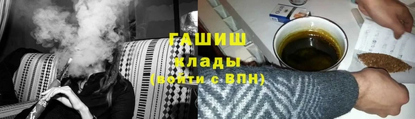 индика Богородицк