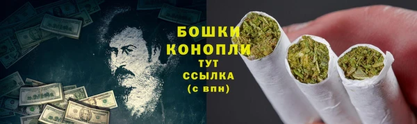 молекула духа Богородск