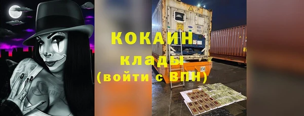 молекула духа Богородск