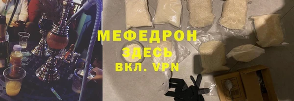 индика Богородицк