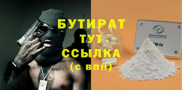 индика Богородицк