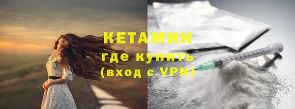 индика Богородицк