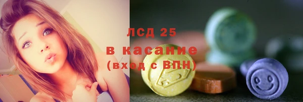 индика Богородицк