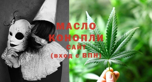 индика Богородицк