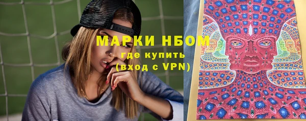 индика Богородицк