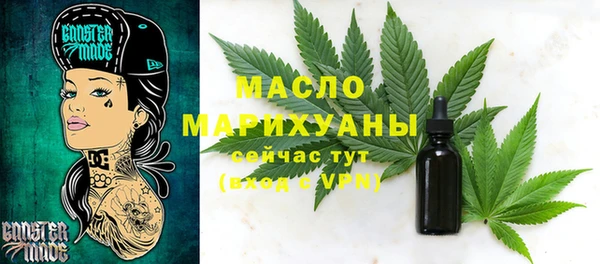 индика Богородицк