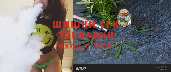 молекула духа Богородск