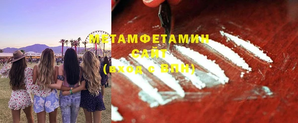 индика Богородицк