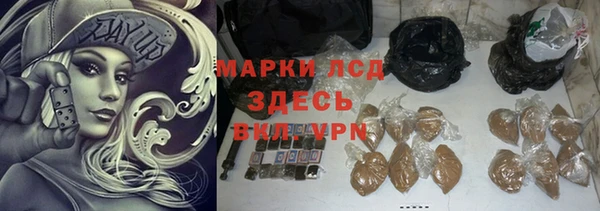индика Богородицк